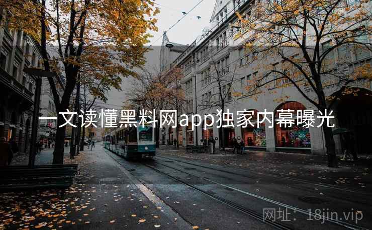 一文读懂黑料网app独家内幕曝光