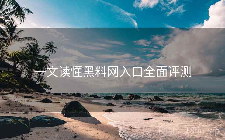 一文读懂黑料网入口全面评测