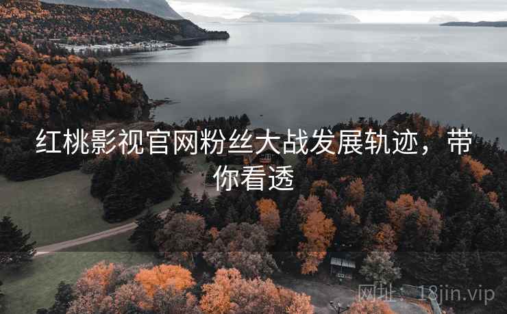 红桃影视官网粉丝大战发展轨迹,带你看透