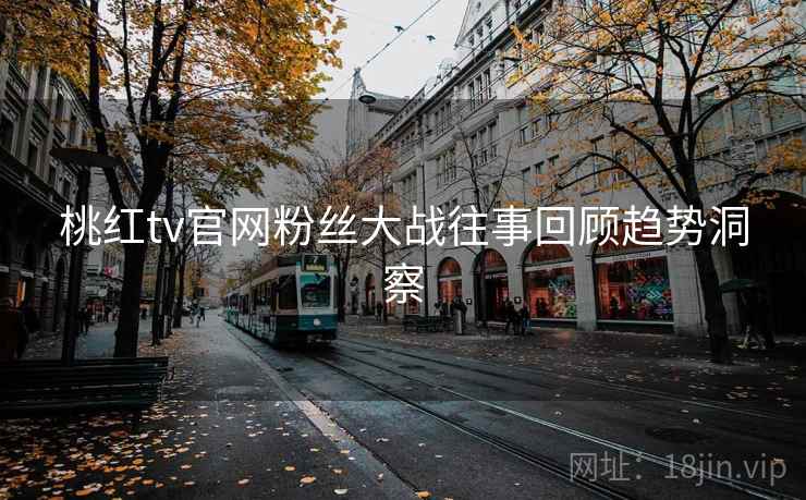 桃红tv官网粉丝大战往事回顾趋势洞察