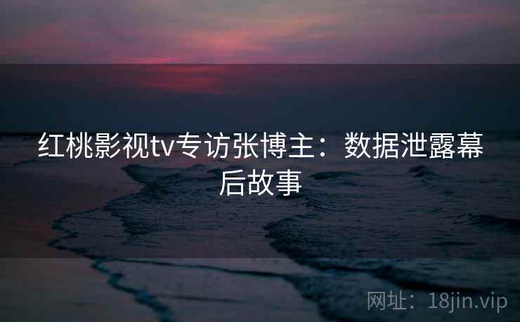 红桃影视tv专访张博主:数据泄露幕后故事