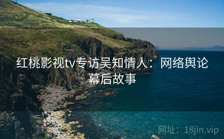 红桃影视tv专访吴知情人:网络舆论幕后故事