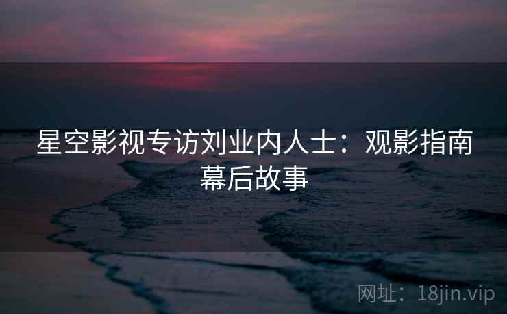 星空影视专访刘业内人士:观影指南幕后故事